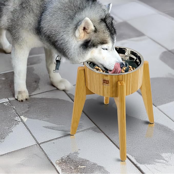 Slow Feeder Dog Bowl for Large Dogs - Elevated Food Stand, Collapsible | Raised Dog Bowl with Anti-Choking Insert, 12-Inch High, Anti-Wobble Lock, Resist Tipping - Stainless Steel, Bamboo