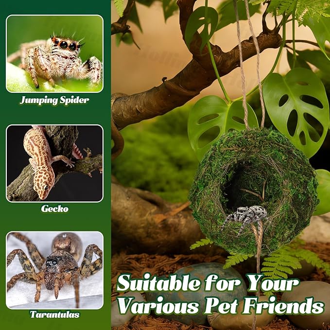 Jumping Spider Moss Cave Hide, Round Green Small Spider Moss Hideout, Jumping Spiders Cave Accessory for Reptile Terrarium