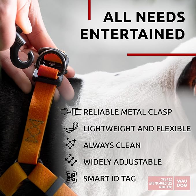 WAUDOG Waterproof Adjustable Dog Harness for Large, Small and Medium Dogs - Heavy Duty with Durable Metal Clasp and QR Tag - Boy & Girl - Orange (24-35in)