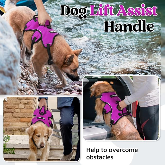 rabbitgoo Escape Proof Dog Harness for X-Large, No Pull with Lift Handle | No Escape, Full Soft Padded, Reflective Adjustable Vest, Leash Clip for Walking Hiking Training, Purple, X-Large