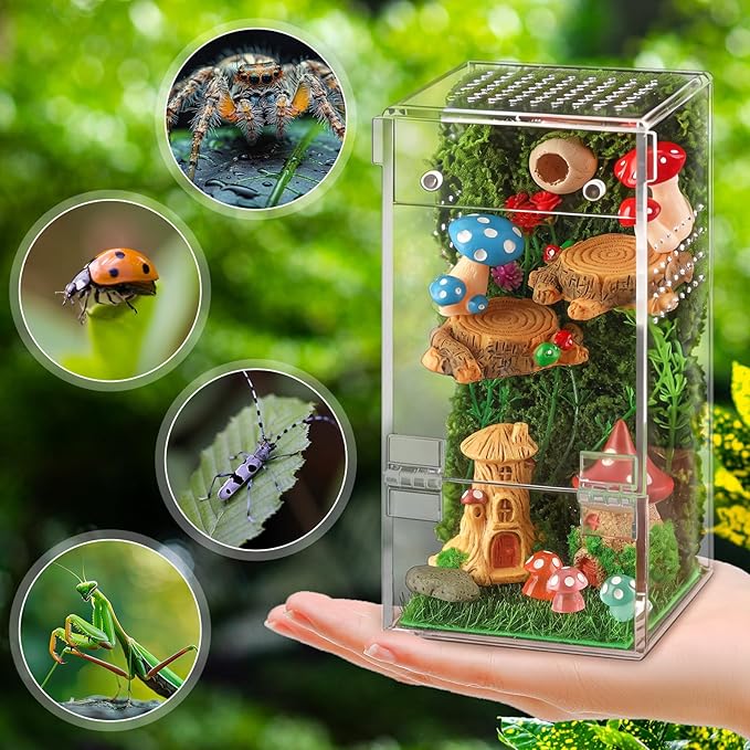 Jumping Spider Enclosure Kit Acrylic Terrarium Reptile Enclosure Accessories Insect Habitat for Mantis Tarantula Snail (Large)