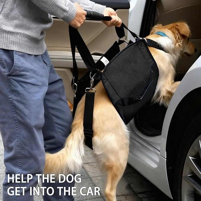 Adjustable Dog Lift Harness, Dog Carry Sling Provides Rear Leg Support for Senior Dogs, Arthritis and After ACL Surgery Dogs,Suitable for Medium to Large Dogs,Black XL
