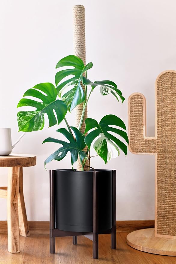D'vine Dev Plastic Pot with Walnut Wood Stand, Black, 12 in, 55-C-O-2 | Mid-Century Inspired Design, Elevated Plant Display, Clean Lines, Sturdy Support, Modern Space-Saving Style