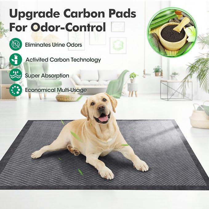 Upgraded Charcoal Puppy Pads, XXL 36’’x36’’ Pee Pads for Dogs, Super Absorbent Up to 12 Cups, Odor Control & Leak Proof Dog Training Pads for Surgery, Older,Puppy, 30 Counts
