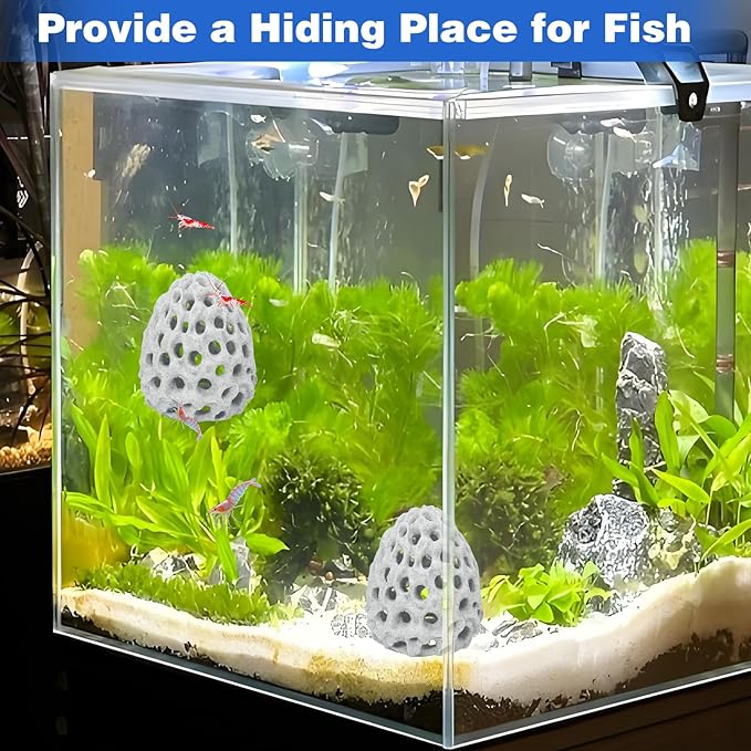 HINGTAI Shrimp Dome Hide Betta Habitat Fish Tank Tunnel with Suction Cup Aquarium Fish Cave Hideout Ornament Accessories for Shrimp Guppy Hiding Resting White