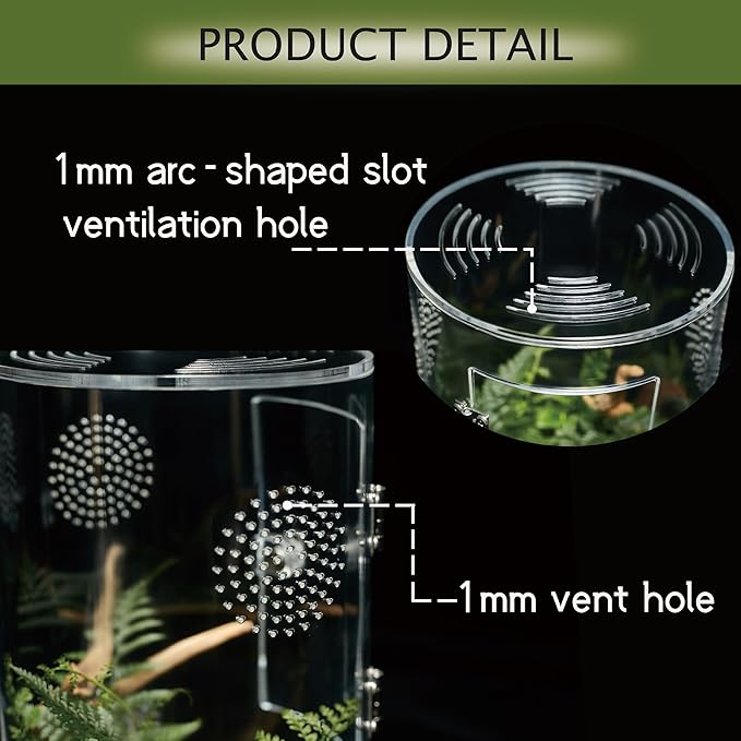 Acrylic Terrarium for Reptiles & Spiders – Small/Medium/Large Leak-Proof Enclosure (Horizontal/Vertical) | Ideal for Tarantulas, Jumping Spiders, Frogs & Geckos(Medium, Round)