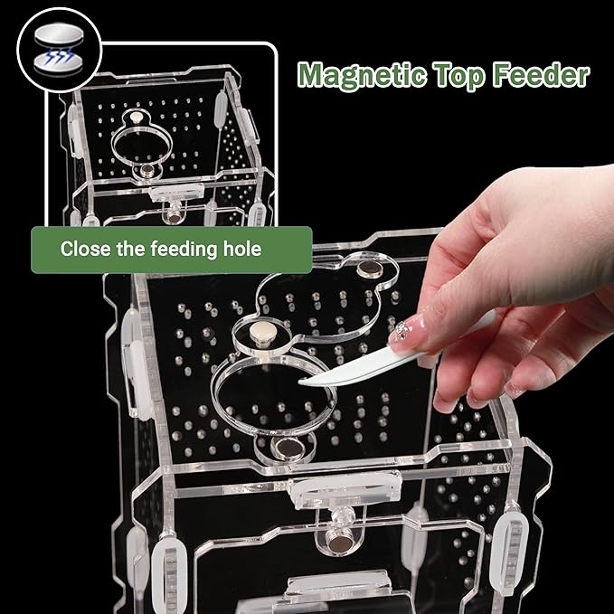 Jumping Spider Enclosure Kit - Acrylic Habitat with Magnetic Lock & Feeding Port - 5.1x3.1x3.1 inch Ventilated Terrarium for Small Pets, Jumping Spiders, Tarantula Slings, Beetles