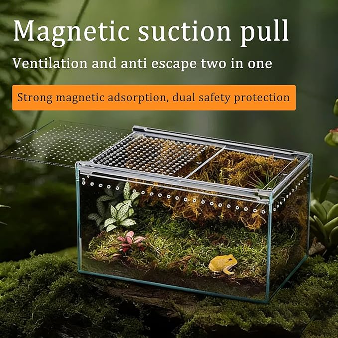 Insect breeding Box Reptile Feeding Box, Waterproof Enclosure Enclosure for arboreal Tarantula Scorpion Sling Lizards Snake Gecko Jumping Spider Snail Isopods, Reptile breeding Box (8x6x4 Inch) ﻿