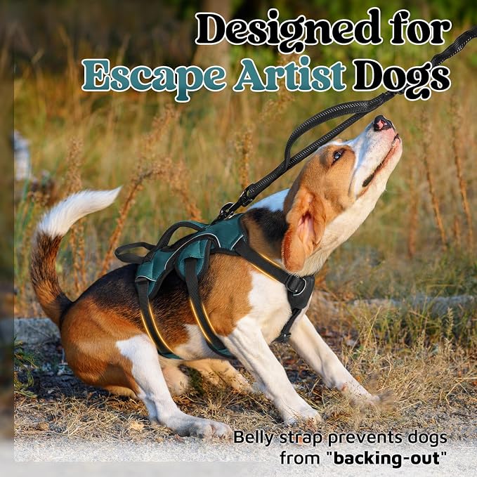 rabbitgoo Escape Proof Dog Harness for Small, No Pull with Lift Handle | No Escape, Full Soft Padded, Reflective Adjustable Vest, Leash Clip for Walking Hiking Training, Dark Green, Small