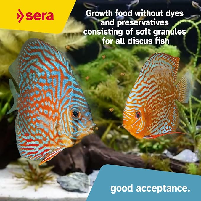 sera Discus ImmunPro Nature 4 oz. | Complete Growth Food for Discus Fish | with Probiotics & Astaxanthin | No Dyes & Preservatives Consisting of Soft Granules | Supports Immune System
