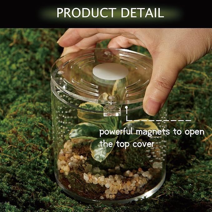 Acrylic Terrarium for Reptiles & Spiders – Small/Medium/Large Leak-Proof Enclosure (Horizontal/Vertical) | Ideal for Tarantulas, Jumping Spiders, Frogs & Geckos(Small, Round)