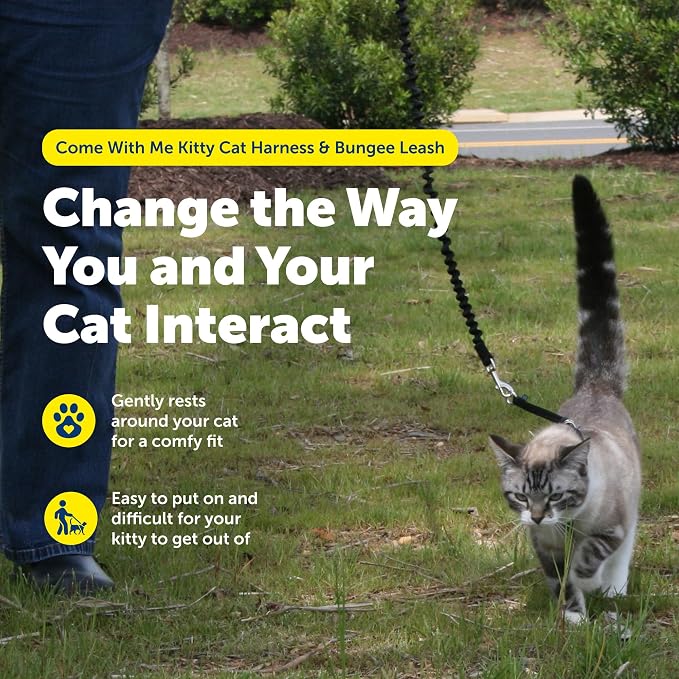 PetSafe Come With Me Kitty Harness and Bungee Cat Leash, Medium, LILAC/BRIGHT PURPLE, Model:CWMK-M-LLC | Adjustable 2-Point Fit Applies Gentle Pressure to Shoulders, Not Neck, for Small & Average Cats with 10.5 in - 14 in Girth