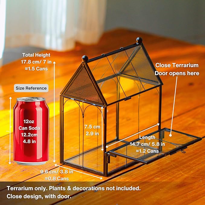 NCYP Small Glass Terrarium Enclosure with Mesh for Jumping Spiders, Micro House Shaped Small Spiders Vented Glass Terrarium, Home Decor Black, 5.8" x 3.8" x 7" (No Plants)