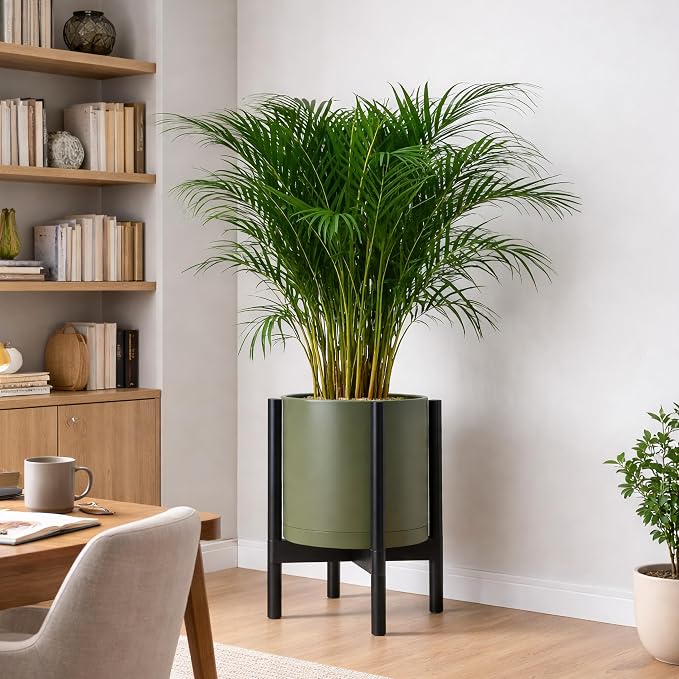 D'vine Dev Plastic Pot with Ebony Wood Stand, Olive, 12 in, 55-C-Q-3 | Mid-Century Inspired Design, Elevated Plant Display, Clean Lines, Sturdy Support, Modern Space-Saving Style