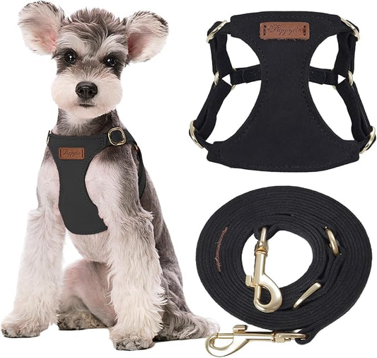 Puppytie Small Dog Harness with Multifunction Dog Leash,Lightweight Soft Adjustable No Choke Escape Proof Pet Harness Vest Pet Harness Vest,Black,M
