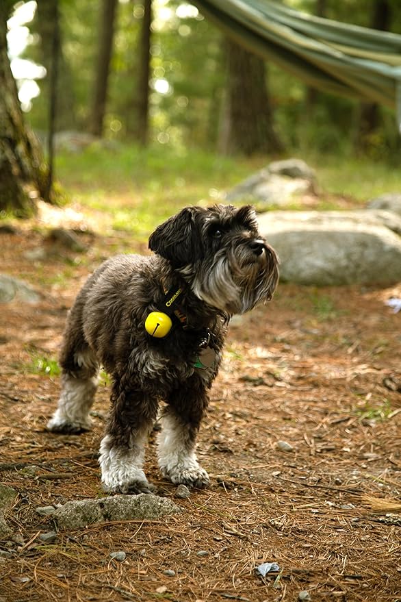 Coghlan's Magnetic Bear Bell with Silencer - Hiking Safety Gear for Wildlife Alert - Yellow