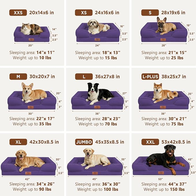 Comfort Expression Waterproof Orthopedic Dog Bed for Medium Size Dog | Supportive Egg Crate Foam Medium Pet Bed with Removable Bolsters, Dog Couch with Washable Cover & Non-Slip Bottom, 30x20 Inch