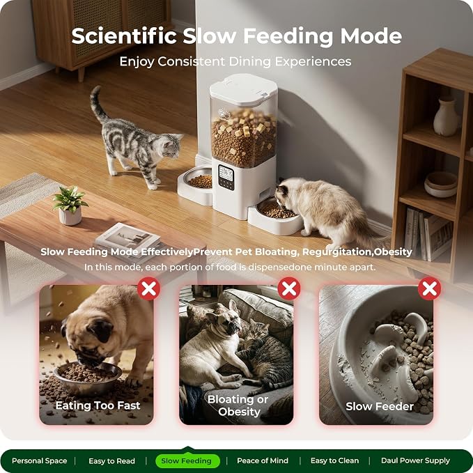 Frienhund Timed Automatic Cat Feeder 2 Cats with Slow Feed: Dual Automatic Dog Feeder with Information Visualization, Programmable Auto Cat Food Dispenser for Multiple Pets,Detachable for Clean-29 Cup