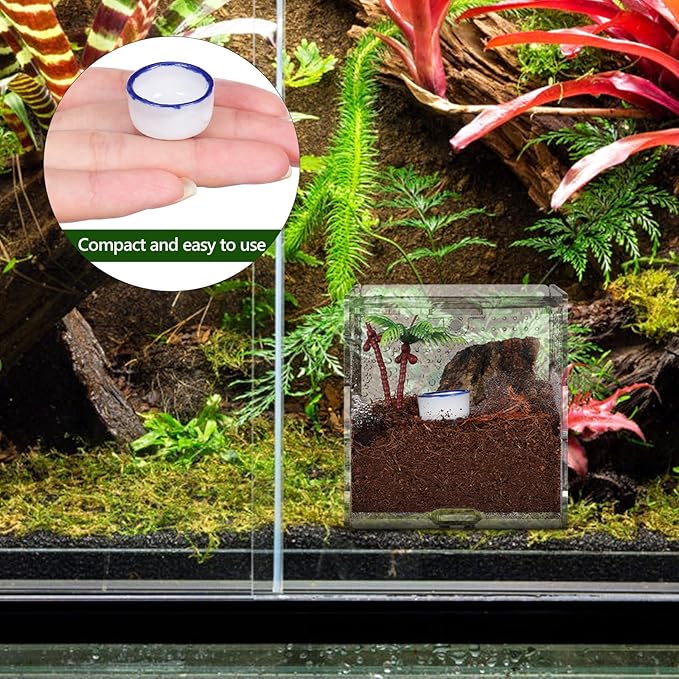 12pcs Small Ceramic Water Feeder Bowls and Spiders Mini Reptile Tank Water Containers Terrarium Basins for Small Pets