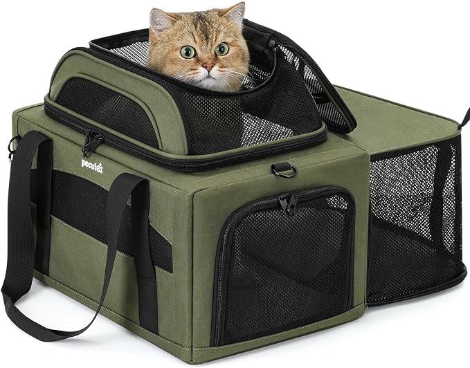 Pecute Top Expandable Airline Approved Pet Carrier for Cats, Dark Gray | Top side expandable, breathable scratch-resistant mesh, leakproof pee pad, locking zippers, foldable travel bag under 11lbs.