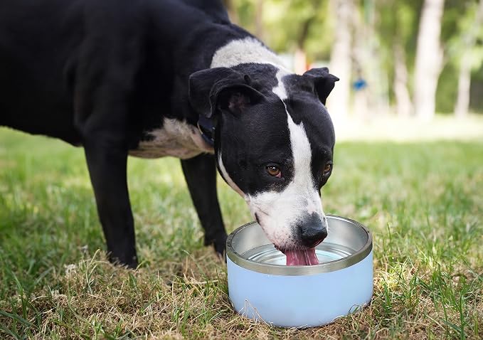 Alpine Set of 2 Stainless Steel Dog Bowls, Non Slip, Metal Pet Bowl for Food and Water, Double Walled Insulated, Rustproof, Dishwasher Safe - Black (AB)