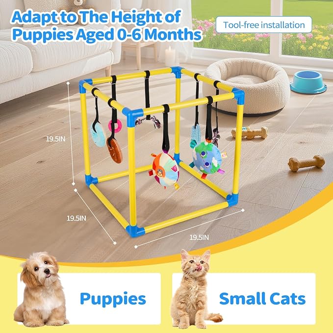 Liitrton Puppy Play Gym for Small Dogs with 8 Hanging Toys, Yellow | 19.5"x19.5"x19.5" PVC Frame, Indoor Puppy Jungle Gym with Interactive Puppies Toys