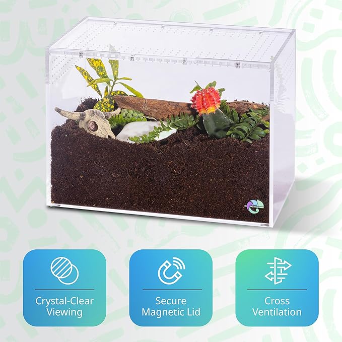 EctoTherm Terrestrial Terrarium - Tarantula Enclosure for Spider, Gecko, Frog, Snail & Small Reptiles - Acrylic Terrarium with Lid