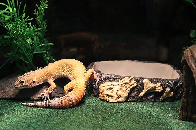 Penn-Plax Reptology Reptile Fossil Rock Food/Water Dish – Great for Bearded Dragons, Geckos, Chameleons, Snakes, Hermit Crabs, and Many More – Medium