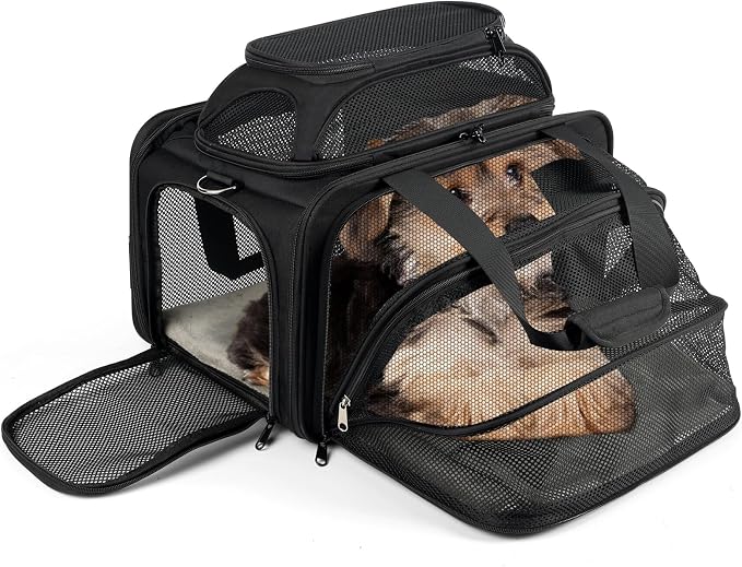 pidipiti 17x11x11 Soft-Sided pet Carrier,for 1 Small Dog or Medium cat | top and 1 side Expandable,for American Delta United Airline ,TSA Approved,with 2 pockets,zipper lock,leakproof,vet visiting