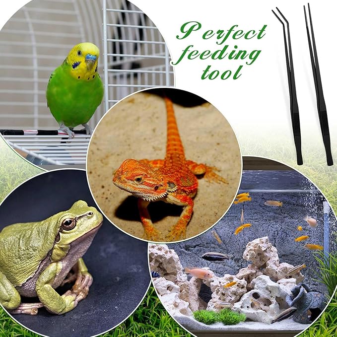 Lasnten 2 Pcs Extra Long Stainless Steel Reptile Feeding Tongs with Rubber Tip 18.5 Inch, 18.9 Inch Bearded Dragon Aquarium Straight and Curved Long Tweezer Terrarium Feeder Tool for Tank(Black)