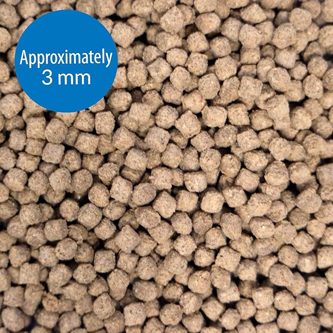 API Bottom Feeder PELLETS with Shrimp Fish Food 1.3-Ounce Container (Pack of 2)
