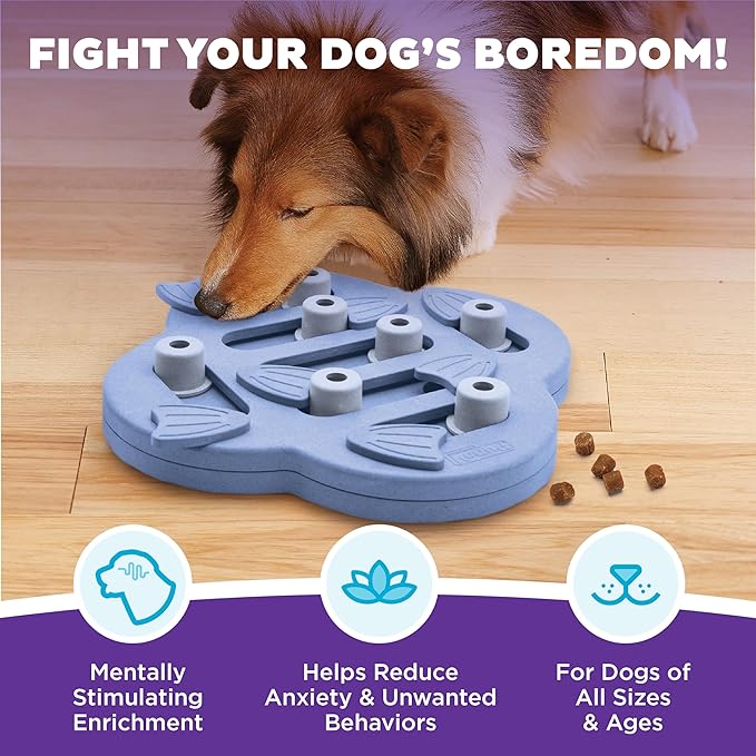 Outward Hound by Nina Ottosson Dog Hide N' Slide – Interactive Treat Puzzle Enrichment Toy, Level 2 Intermediate