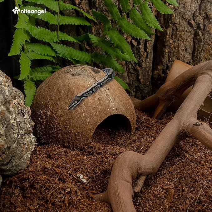 2 Pack Natural Coconut Reptile Hideouts, Lizard, Spider and Aquarium Fish Hide Cave (Natural Surface)