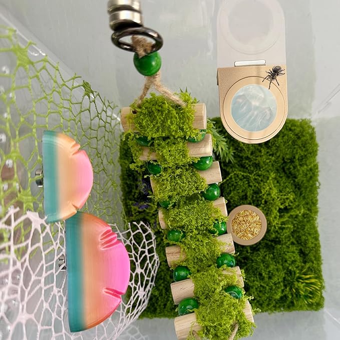 2 PCS Jumping Spider Feeding Dish (1 Detachable with Magnet and 1 for Replacement), Tiny Food Dishes Water Dish for Spider, Tarantula and Other Small Pets Jumping Spider Accessories
