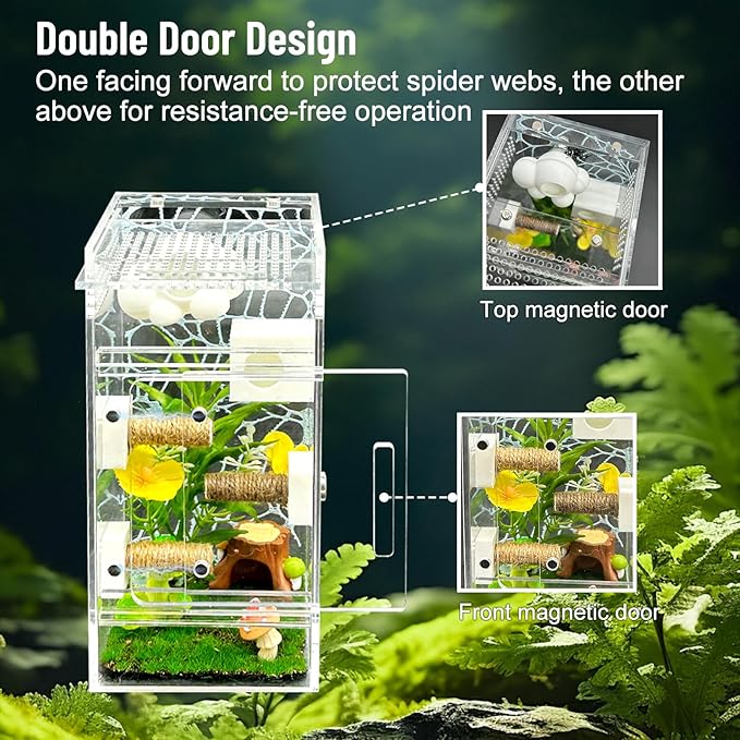 Jumping Spider Enclosure,DIY Insects Habitat,Small Reptile Terrarium Glass House Accessories Set,with Jumping Platform Hide Climbing Net(Green 2)