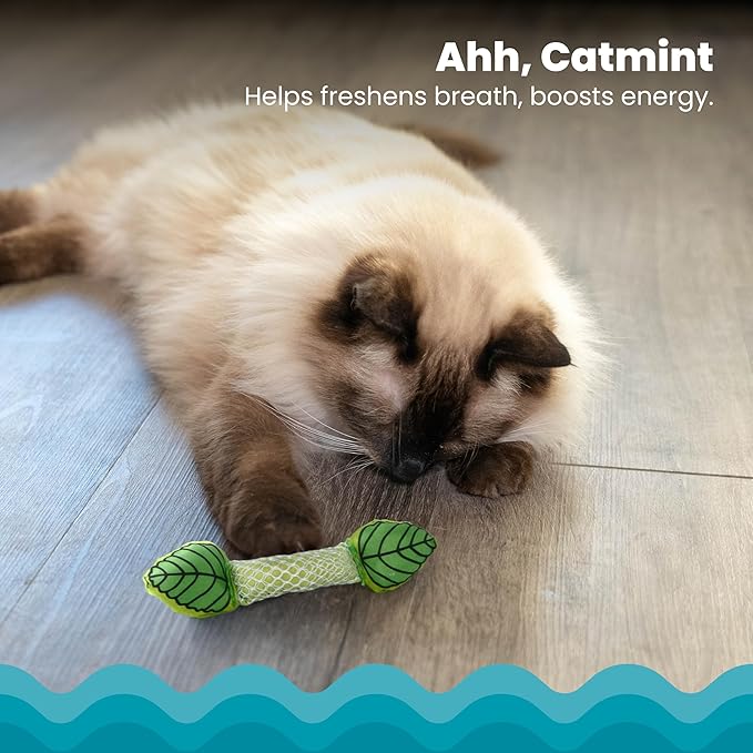 Petstages Fresh Breath Mint Stick Dental Cat Chew Toy & Dental Kitty Chew Wheel Catnip Cat Toy