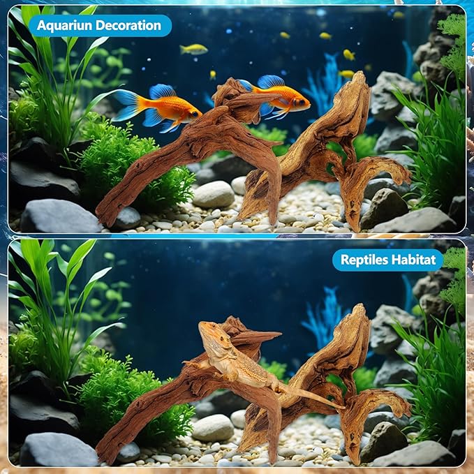 3 PCS Large Natural Aquarium Driftwood 10-12", Aquarium Drift Wood for Fish Tank Decoration, Assorted Size Mopani Wood Twisted Branches Trunk Decor for Freshwater, Reptile Terrarium