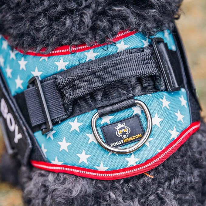 Personalized Dog Harness with Custom Name Patches, Adjustable Reflective No Choke Dog Vest with Handle for Small Sized Dog, Black, S