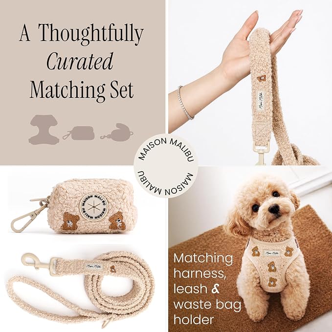 Embroidered Matching Dog Harness and Leash Set with Poop Bag – No Pull, Adjustable, Padded, Breathable Harness for Puppies, Extra Small Dogs, Small Dogs, and Medium Dogs (Medium)