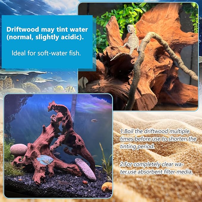 2 PCS Large Natural Aquarium Driftwood 12-16", Aquarium Drift Wood for Fish Tank Decoration, Assorted Size Mopani Wood Twisted Branches Trunk Decor for Freshwater, Reptile Terrarium