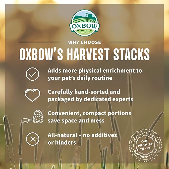 Oxbow Harvest Stacks, Timothy Hay with Carrots, Guinea Pig Hay, Bunny Supplies, Timothy for Rabbits, Guinea Pigs, Chinchillas, and Other Small Pets, Bunny Food, 35 oz.