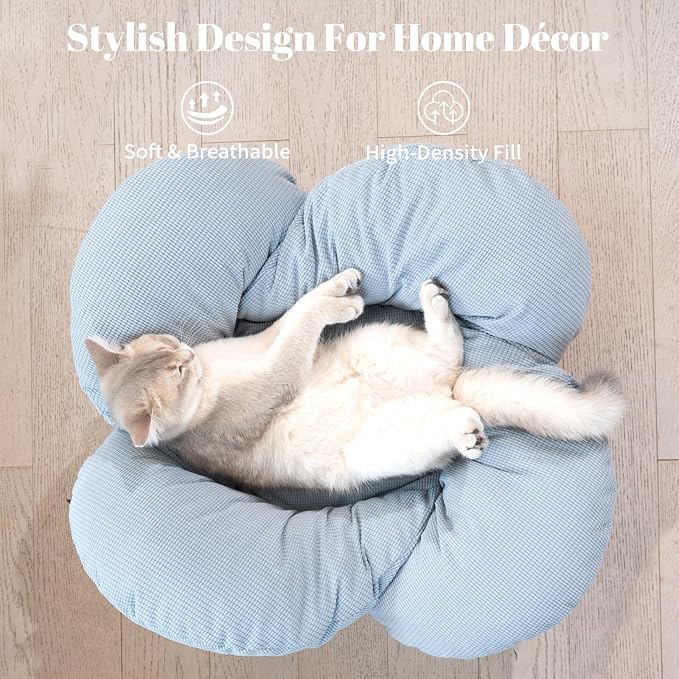 Elevated Cat Bed for Indoor Cats Couch Sofa Flower | Pet Beds with Washable Cushion, Stable Wooden Frame, Raised Cat Hammock & Furniture for Kitty & Puppy All-Season(Light Blue)