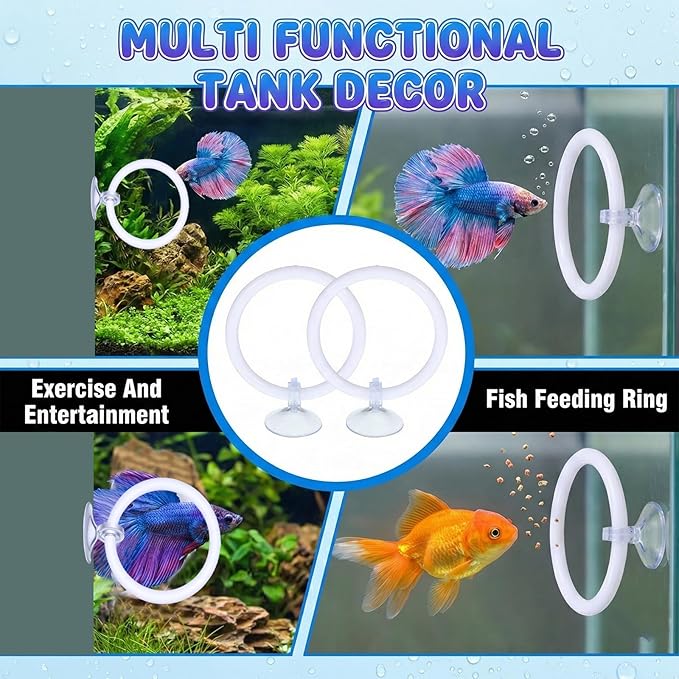 Styquenzer 2 Pcs Beta Fish Aquariums Accessories, Betta Ring Enrichment Toys Fish Feeding Ring Betta Toys for Exercise Training
