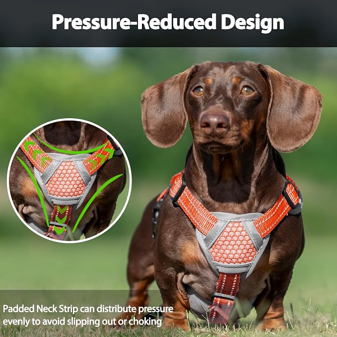 Escape Proof Dog Harness, Dachshund Harness, Reflective Dog Harness with Handle, Durable,Adjustable Vest for Small Medium Large Dogs Walking, Training, and Running Gear (Orange,XL)