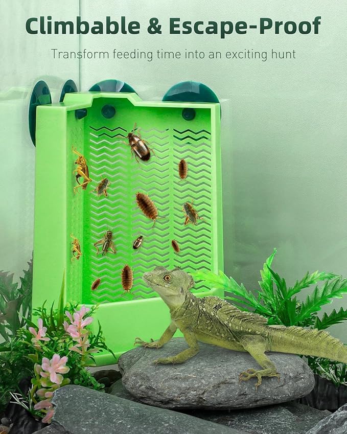 Pawfly Reptile Feeder Bowl - Escape-Proof Corner Hunting Dish, Wall-Mounted Insect Feeder for Bearded Dragons, Chameleons, Geckos, Frogs & Lizards with Suction Cups