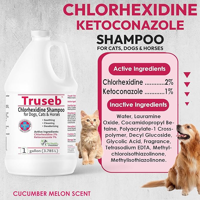 Truseb Chlorhexidine Shampoo for Dogs Cats & Horses with Aloe Vera - Antibacterial Antifungal Medicated Dog ketoconazole Shampoo and Conditioner -Skin Irritation, Hot Spots, Redness Relief (1 Gallon)