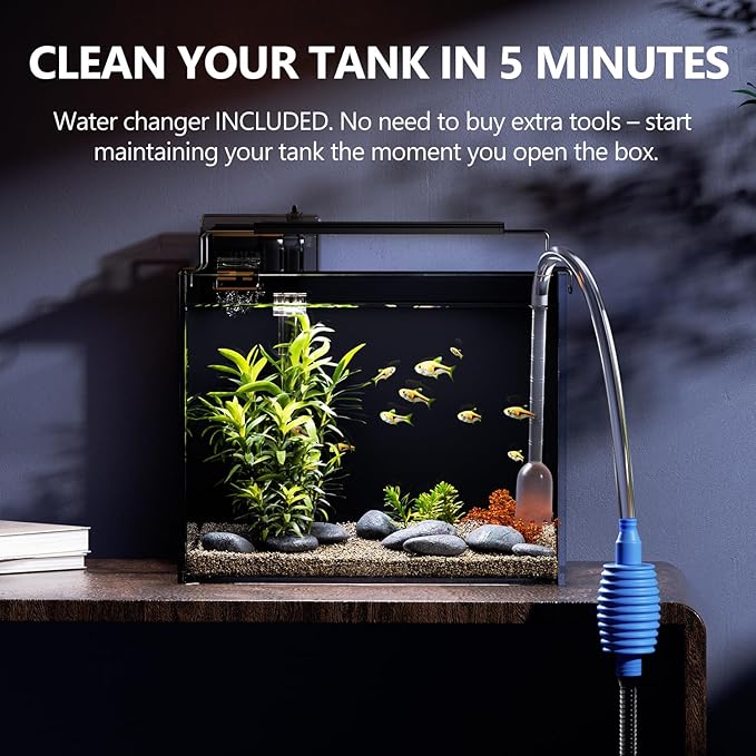 3 Gallon Fish Tank Aquarium Kit with HOB Filter, LED Light with Timer, Lid, Siphon Vacuum Cleaner, Self Cleaning Glass Rimless Betta Tank