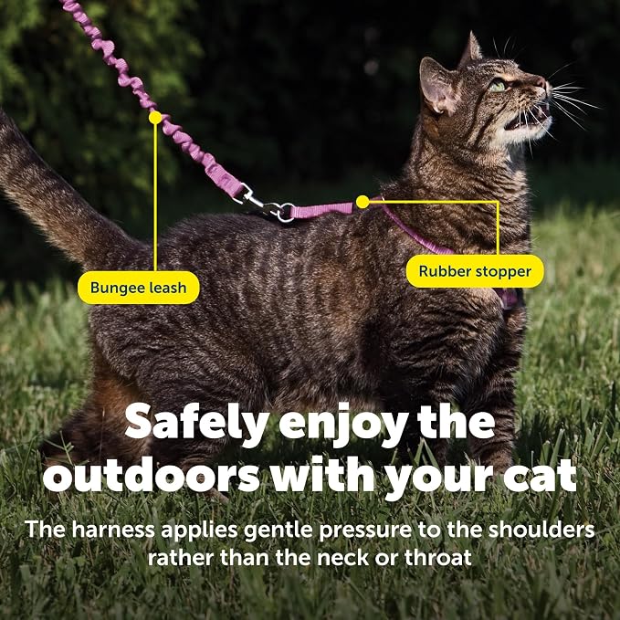 PetSafe Come with Me Kitty Harness and Bungee Cat Leash, Dusty Rose, Small | Adjustable 2-Point Fit Applies Gentle Pressure to Shoulders, Not Neck, for Kittens and Small Cats with 9 in - 11 in Girth