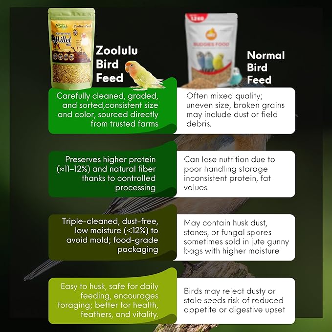 Danodia's Zoolulu Premium Conure Energy Millet Mix (450g/1 lbs) | Bird Food Blend for Conures, Quakers, Cockatiels & Lovebirds | Daily Healthy Nutrition