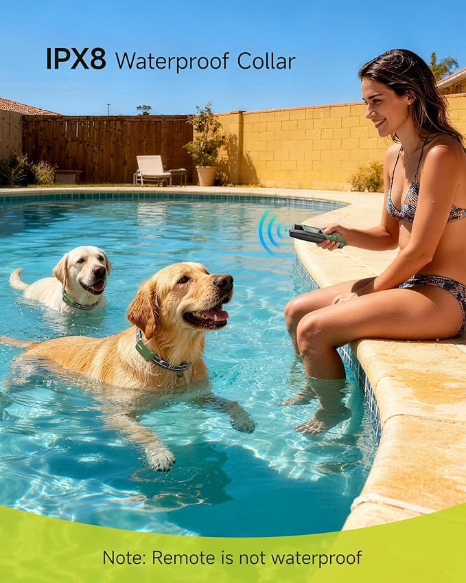 Jugbow Shock Collar for 2 Dogs (10-120lbs) - 4200FT Dog Training Collar with Remote, IPX8 Waterproof Electric Collar with 4 Training Modes, Rechargeable E-Collar for Large Medium Small Breeds